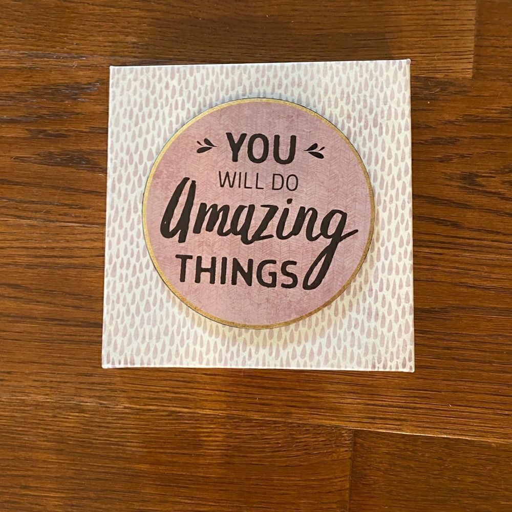 (NWT) You will do amazing things sign